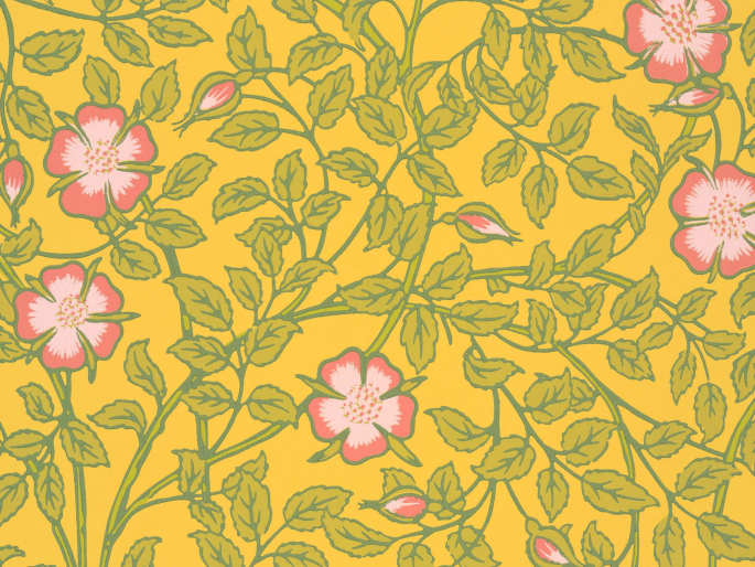 Papier peint jaune avec des fleurs roses Briar Rose - Indian Yellow Little Greene