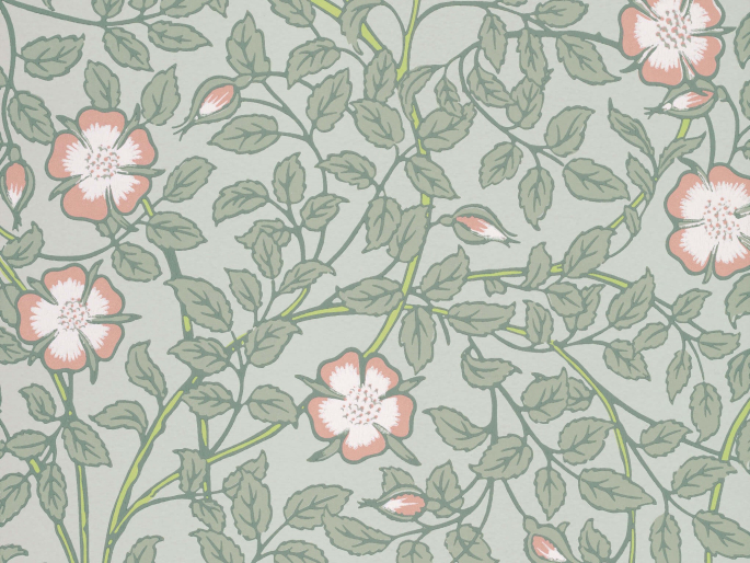 Little Greene Briar Rose - Salix papier peint avec des fleurs et des feuilles