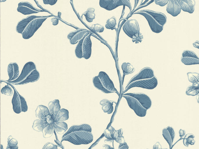 Broadwick Street - Balsam papier peint avec un fond blanc, des fleurs et des feuilles de couleur bleue
