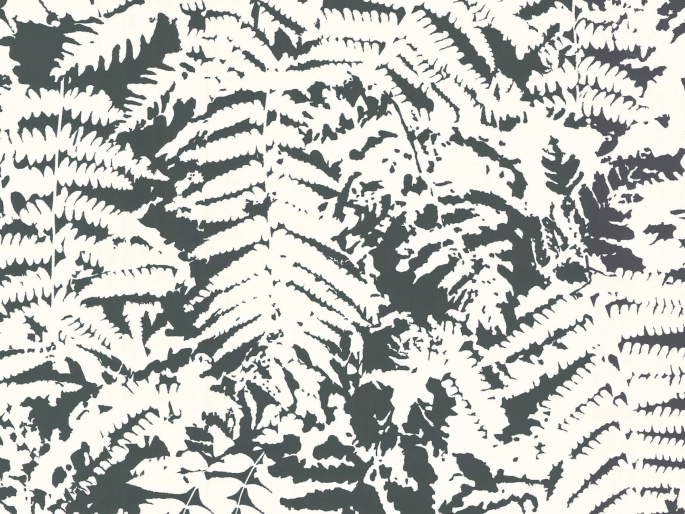 Papier peint de Little Greene avec des feuilles blanches sur un fond noir Fern - Off Black