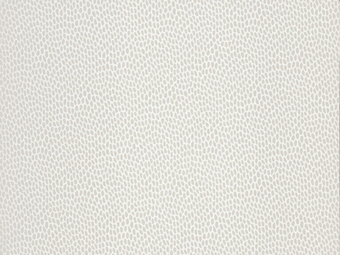 Paint & Paper Library Seedpod - Salt