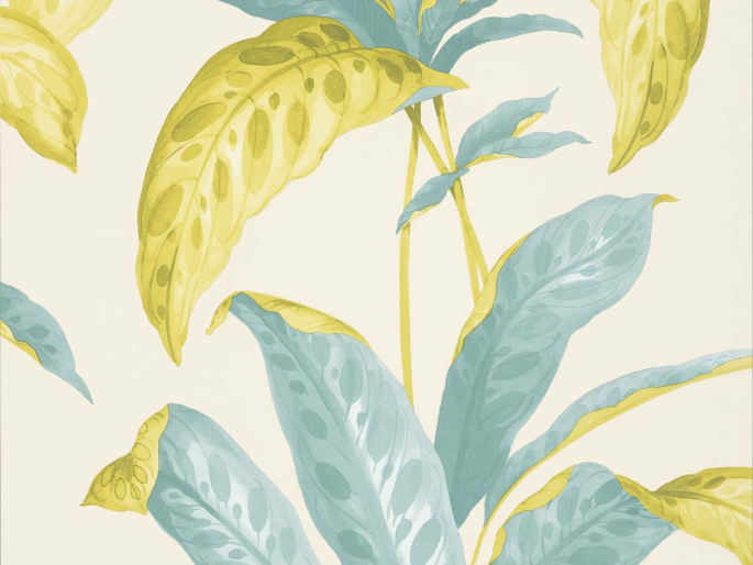 Paint & Paper Library Tropicane - Scallion